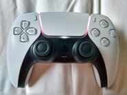 Bear's color affinity on a PS5 controller.