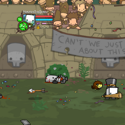 Icy Arena, Castle Crashers Wiki