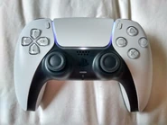 BlueKnightPS5.jpg (2.29 MB) Blue Knight's color affinity on a PS5 controller.