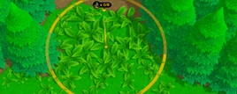Plants Harvesting