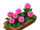 Pink Flower Bed
