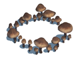 Mushroom Circle