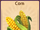 Corn