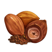 CastleStory-CocoaBeans.png