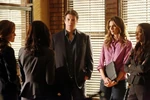 Castle-6x19