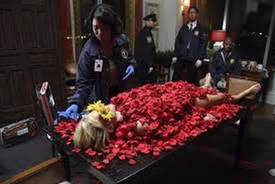 Castle s1 e1 online