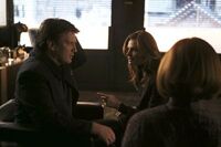 Castle-8x21