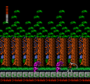 NES Castlevania 2 ss 1