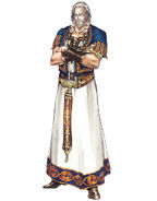 Mr. Shibata voiced Rinaldo Gandolfi in Castlevania: Lament of Innocence.