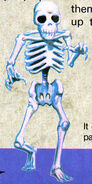 Skeleton from the Nintendo Power Dracula's Curse Guide