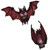 Twin Bats from Order of Shadows