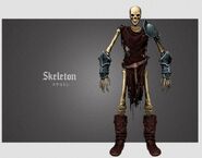 Skeleton Warrior's artwork from Mirror of Fate.