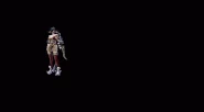 The Pain