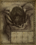 Giant Spider Travel Book