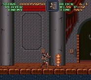The Halls (Super Castlevania IV)