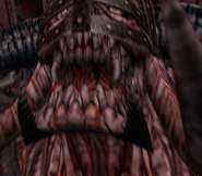 The Forgotten One's face before fighting Leon (notice the helmet).