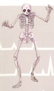 Skeleton