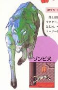 Zombie Dog from the All About Akumajō Dracula guide for Super Castlevania IV