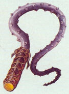 Thorn Whip from the Nintendo Power - Castlevania II: Simon's Quest guide.