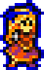 Guardian Knuckle