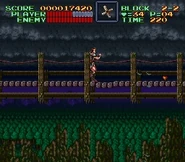 Super Castlevania IV (USA)-6.jpg (61 KB) Stage 2-2 bridge with posts similar to 5-1.