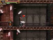 OoE-automaton-heart