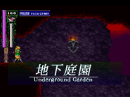 Underground Garden