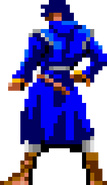 Richter Belmont Richter is now playable at the beginning of the game. He wears clothing closer to his depiction in the official art in this game when fighting against him and as an alternate playable costume, but it does not match it as well as its two original appearances.