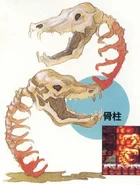 Pillar of Bones from the All About Akumajō Dracula guide for Super Castlevania IV.