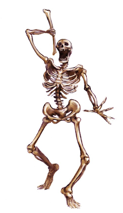 Skeleton | Castlevania Wiki | Fandom