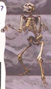 Skeleton