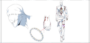 Rebis model.