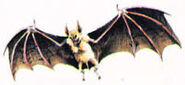 Bat