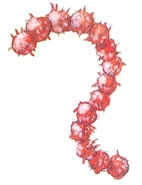 Gege from the All About Akumajō Dracula guide for Super Castlevania IV.