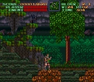 Super Castlevania IV (USA)-4.jpg (74 KB) A tiny model of the castle is set on same graphics layer as the nearby trees.