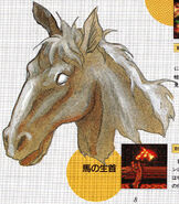 Horse Head from the All About Akumajō Dracula guide for Super Castlevania IV.
