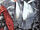 Sypha animation concept art.JPG