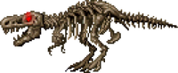 Skeletonrex