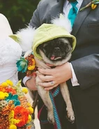 Bunny - 01.jpg (67 KB) Sam Deats's dog "Bunny".