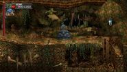 Turtle Item Crash. (The Dracula X Chronicles)