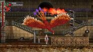 Cardinal Item Crash. (The Dracula X Chronicles)