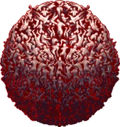 Granfalloon2-1-.gif (361 KB) Legion in Symphony of the Night.