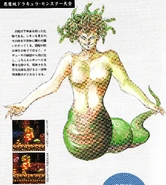 Medusa