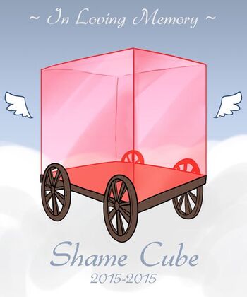 Shame-Cube