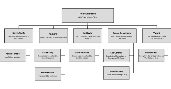 Holby City Hospital Organisation Chart