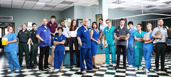 Series 29 Cast