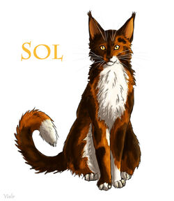 Sol, Warriors Wiki