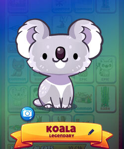 Animal Sanctuary | Cat Game - The Cat Collector! Wiki | Fandom Animal Sanctuary | Cat Game - The Cat Collector! Wiki | Fandom