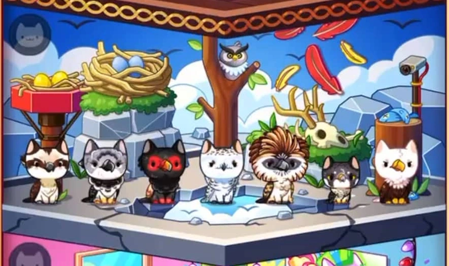 Birds of Prey Cat Game The Cat Collector! Wiki Fandom