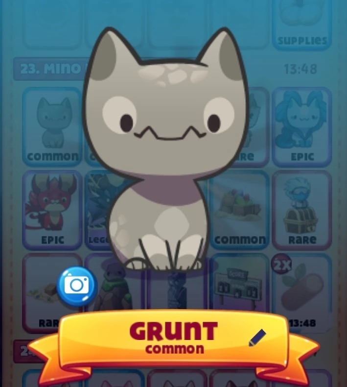 Mino Beach Cat Game The Cat Collector! Wiki Fandom